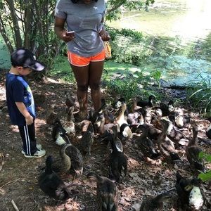 Meet your Posher, Anton